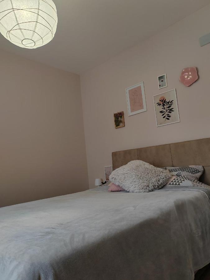 Apartman_Krstic_1 スボティツァ エクステリア 写真