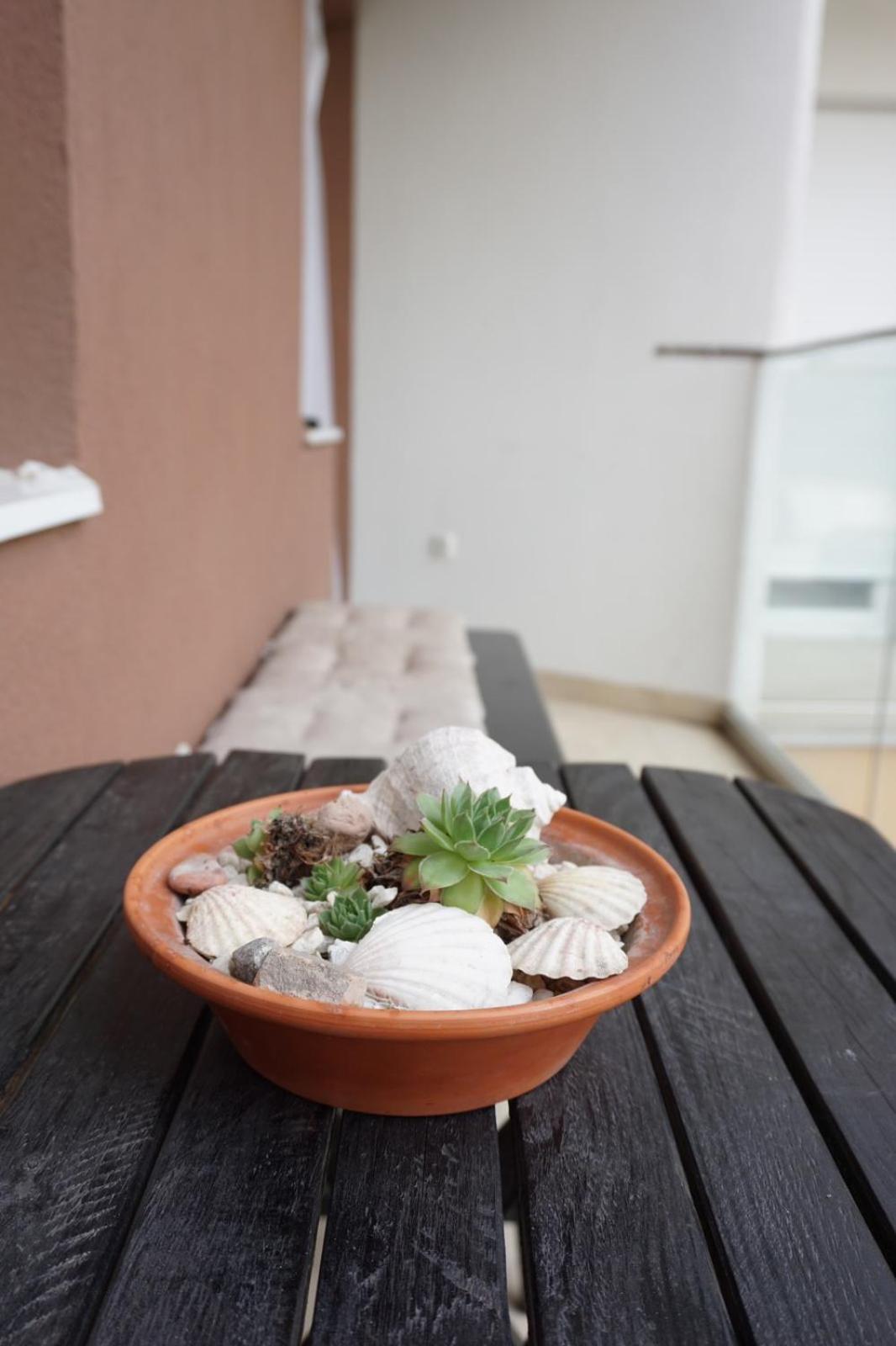 Apartman_Krstic_1 スボティツァ エクステリア 写真